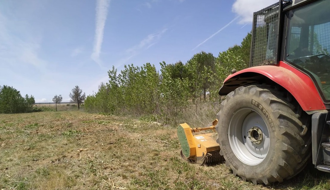 limpieza de parcela con tractor